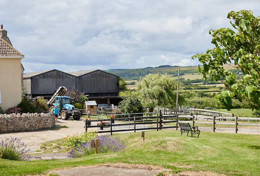 farms to visit near weymouth