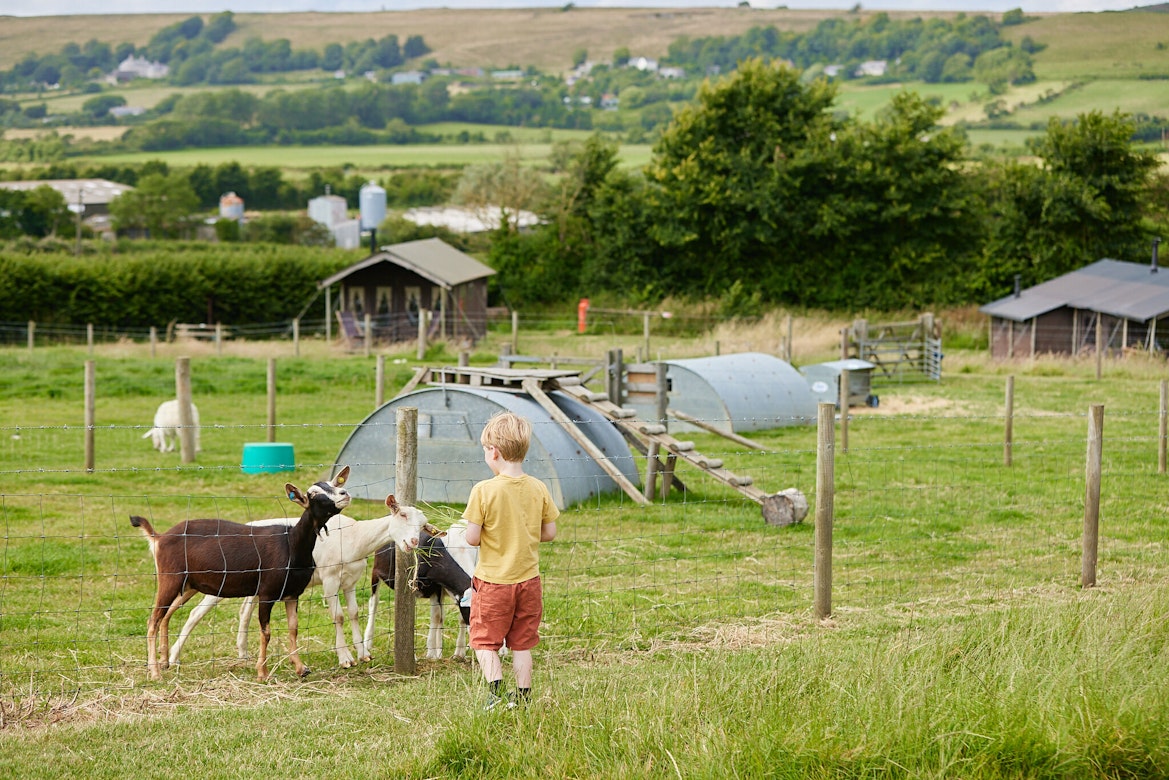 farms to visit near weymouth